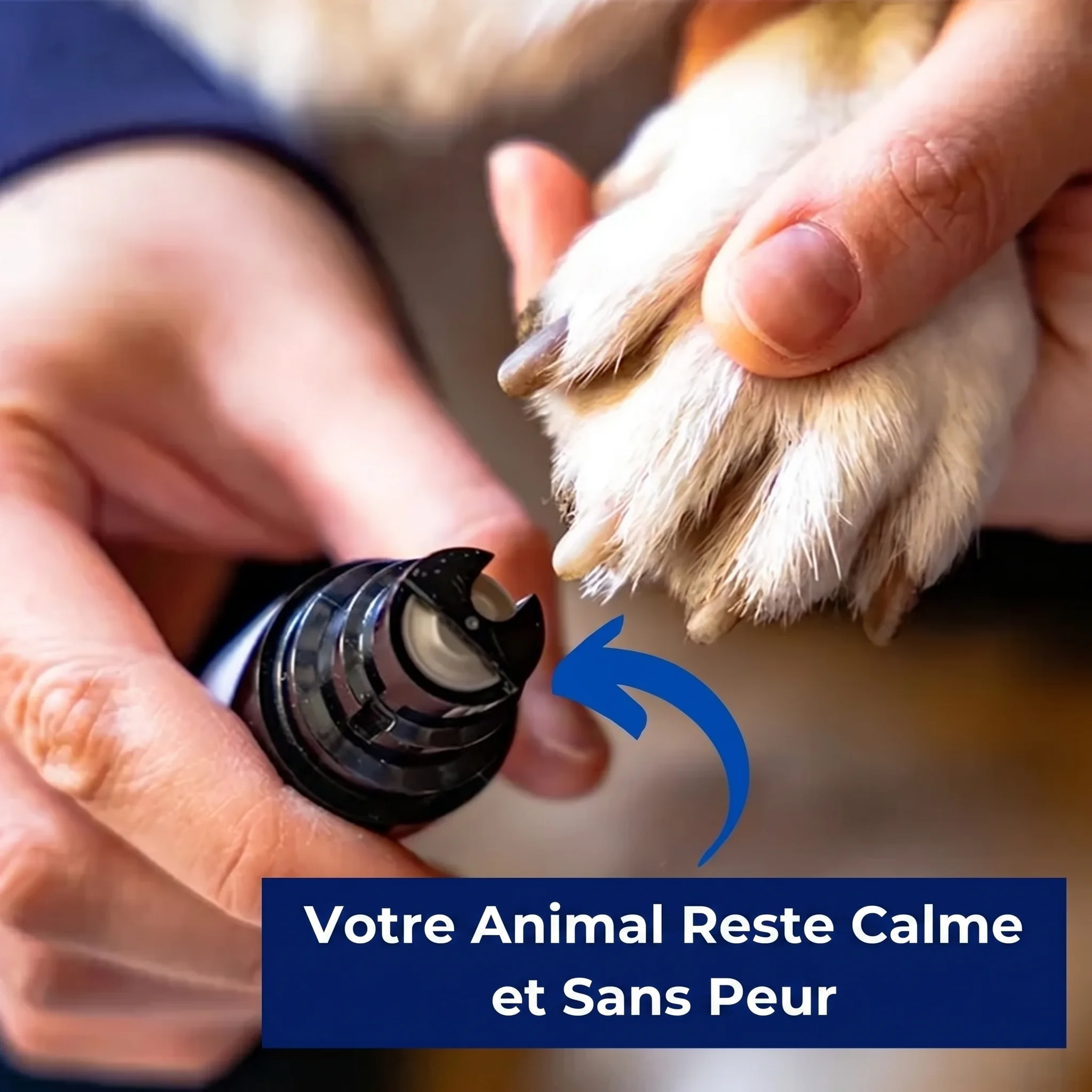 Coupe-Ongles Silencieux pour Chien Zevlo