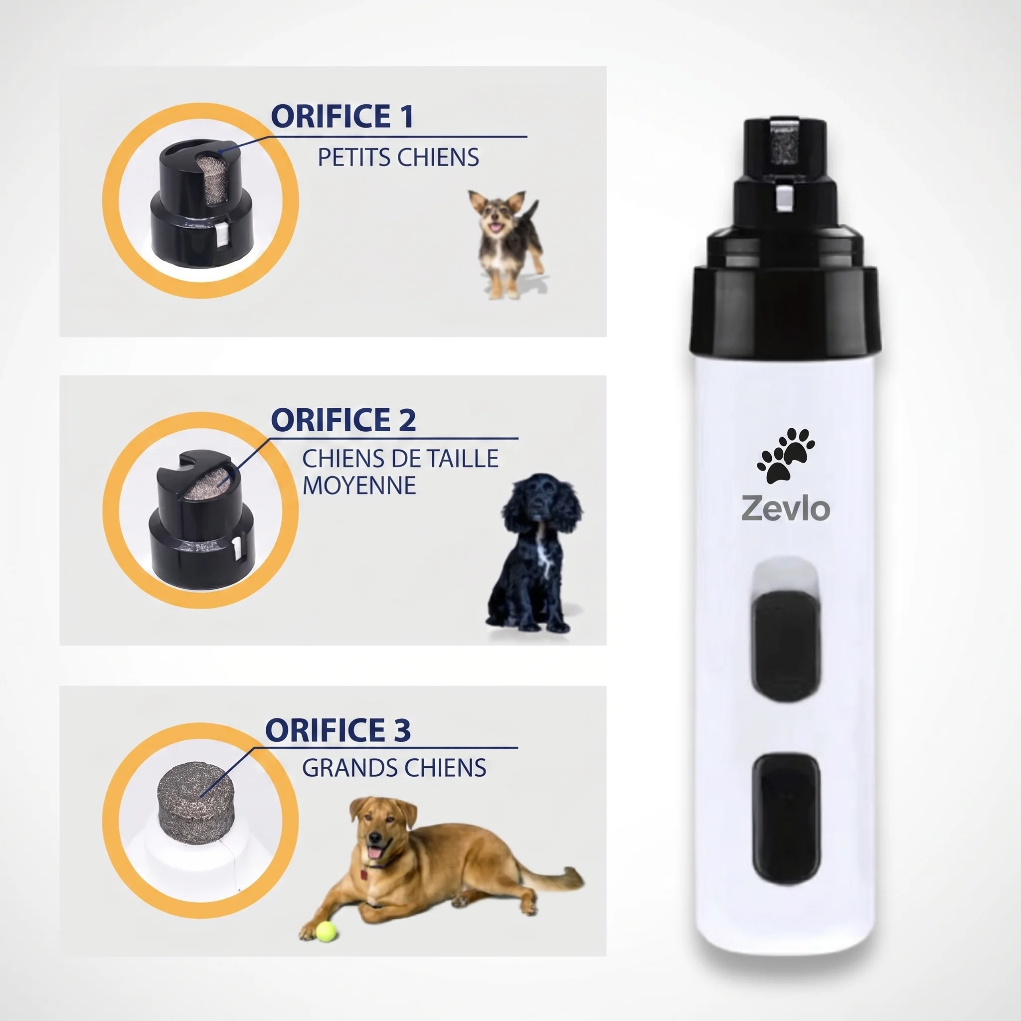 Trois orifices de meulage pour petits, moyens et grands chiens